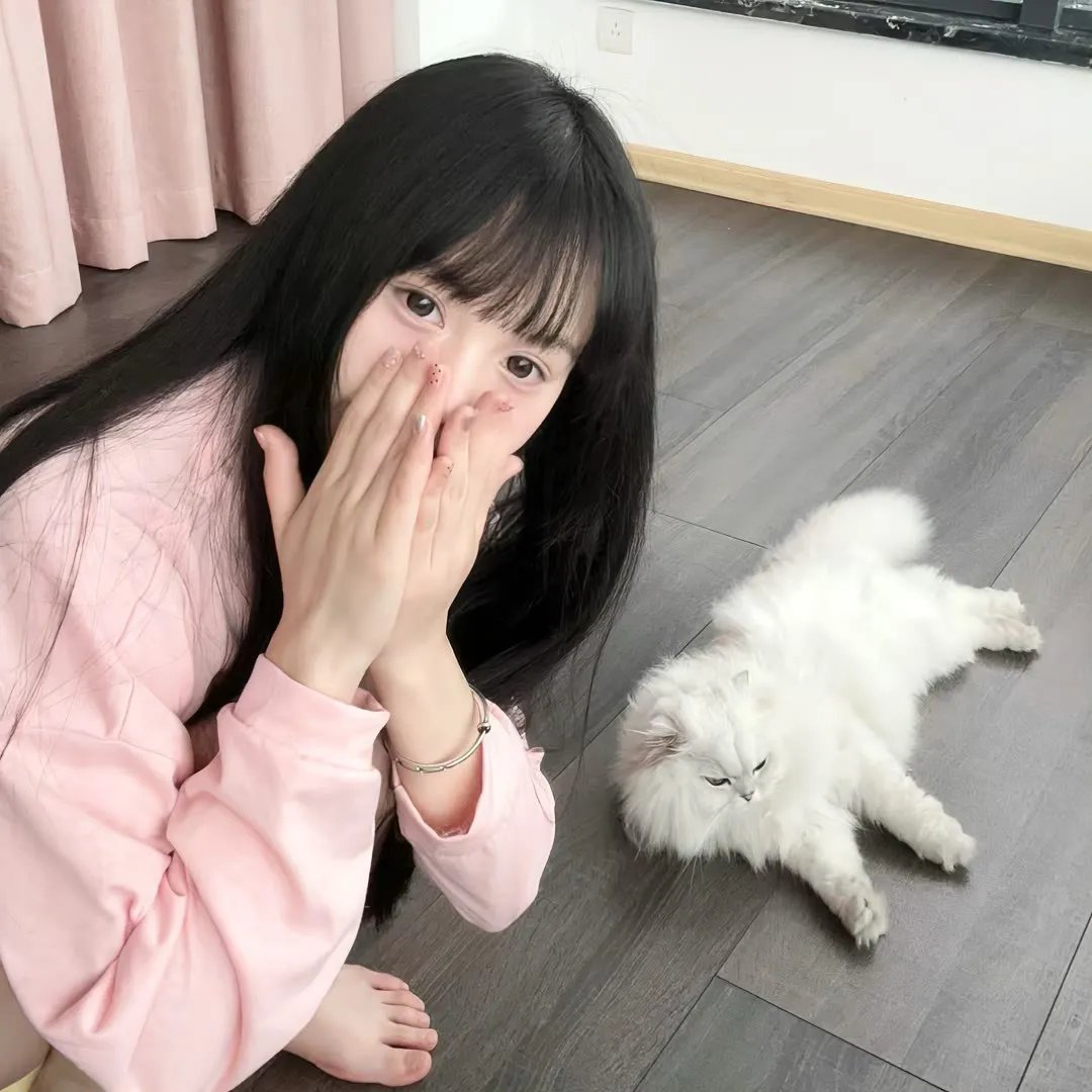 小叮当:羽翼之谜